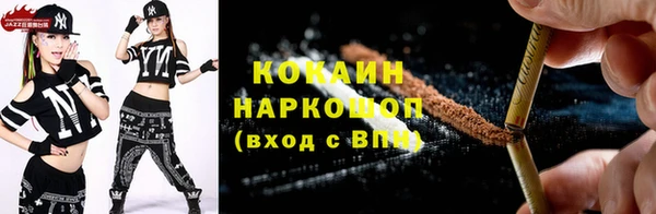 гашик Мегион