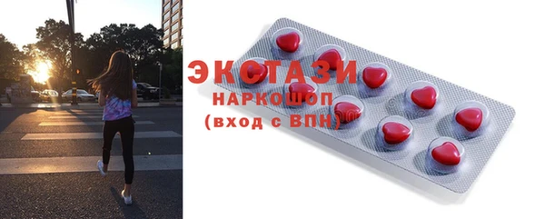 гашик Мегион