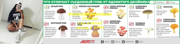гашик Мегион