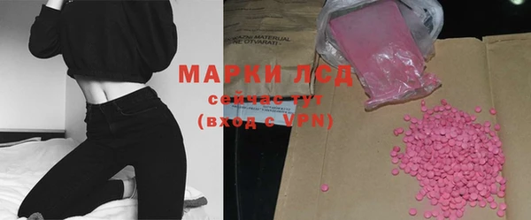 гашик Мегион