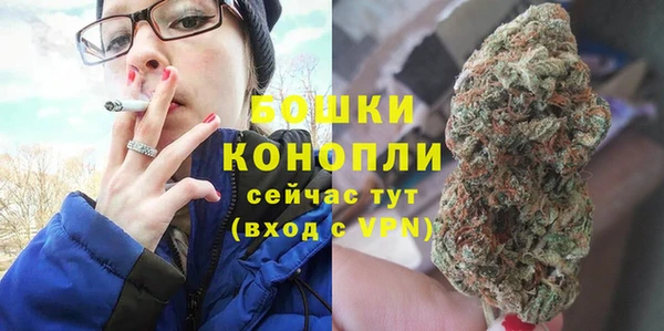 гашик Мегион