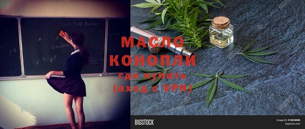 гашик Мегион