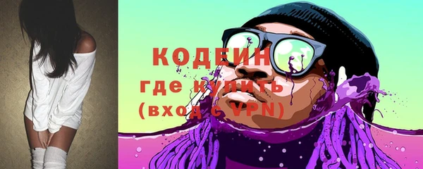 гашик Мегион