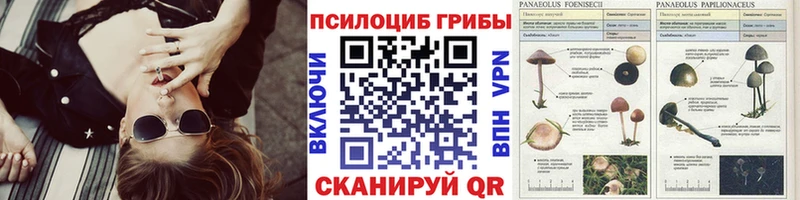 Псилоцибиновые грибы GOLDEN TEACHER Томмот